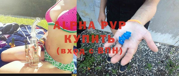 стафф Богородицк