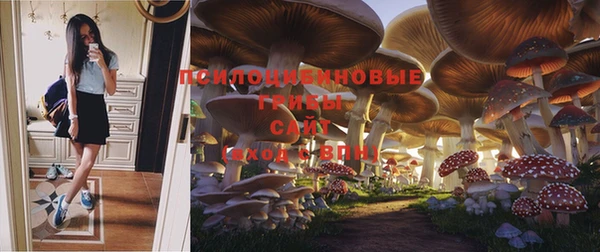 стафф Богородицк