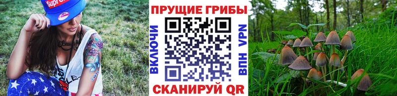 где найти shop наркотические препараты Галлюциногенные грибы мухоморы Томари
